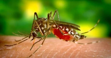 Varias provincias del Sur presentan la mayor incidencia de la malaria