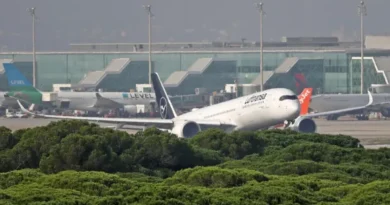 Avión aterriza de emergencia por un falso parto y 28 migrantes saltan a la pista del aeropuerto de Barcelona