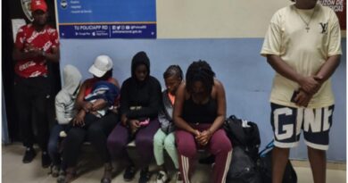 Apresan a conductor haitiano por transportar compatriotas indocumentados