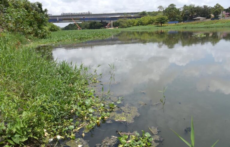 Confirman tres nuevos casos de cólera en la Zurza y San Carlos