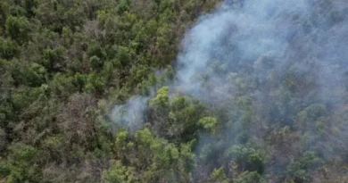 Medio Ambiente dice controla fuego en Barahona