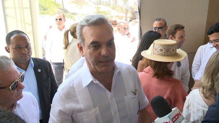 Abinader dice R.Dominicana no se abrirá al arroz de EU sin aranceles