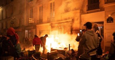 Francia arde en nueva jornada de protestas por reforma pensiones