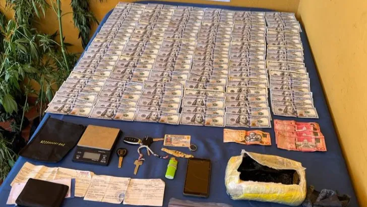 Descubren una plantación de marihuana en una vivienda de Jarabacoa