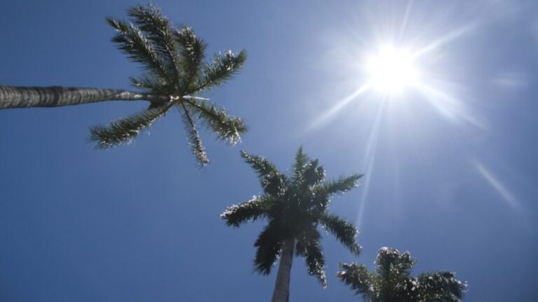 Pronostican un día soleado con escasas lluvias