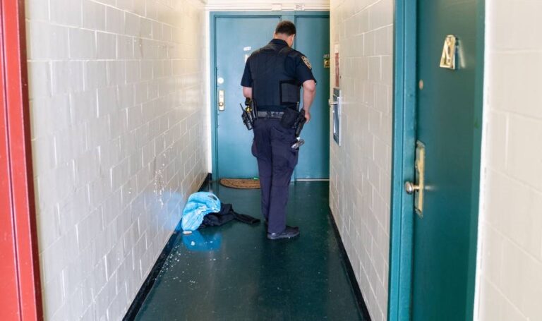 NY: Dominicana fue asesinada por expareja en presencia de sus tres hijos