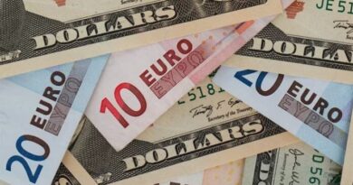 El euro supera los 1,10 dólares, máximo desde abril del año pasado