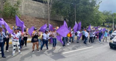 Peledeístas reciben vacacionistas ondeando banderas y pancartas