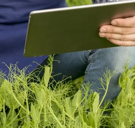 Tecnología, aliada de los agronegocios