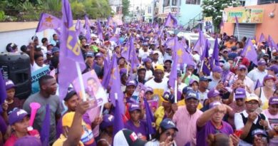 SDE: Numerosos miembros PLD marchan contra males sociales