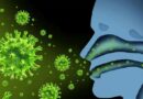 Estudio explica cómo virus gripal logra penetrar en células para infectarlas