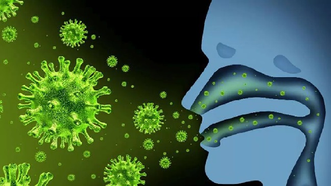 Estudio explica cómo virus gripal logra penetrar en células para infectarlas
