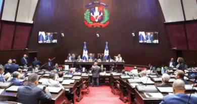 Debate por Cámara de Cuentas se radicaliza entre PRM y la oposición