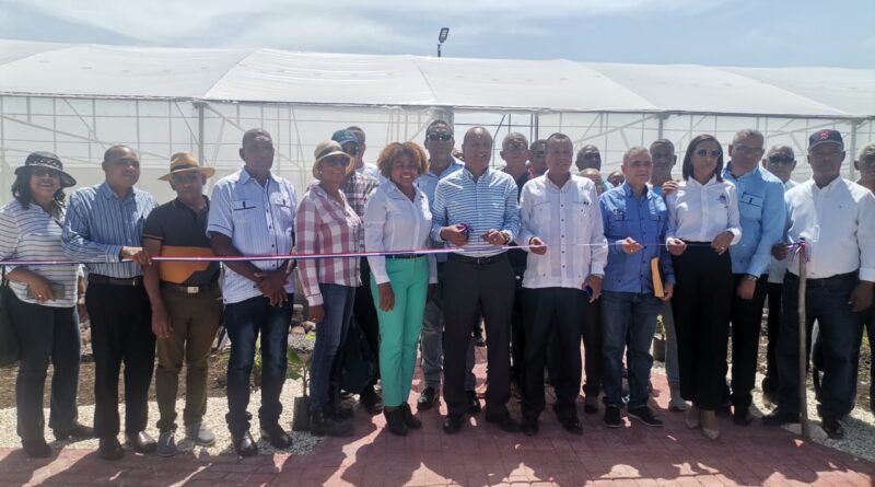 Gobierno inaugura en Barahona una Cámara Térmica para producir material de siembra de plátano y guineo de alta calidad