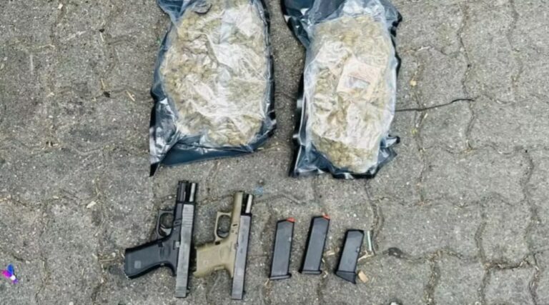 Miembros de la DNCD ocupan marihuana y dos pistolas en puerto de Haina