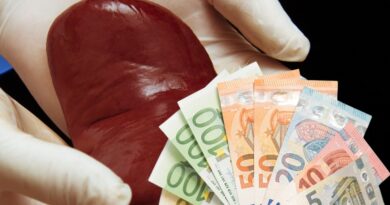 Desmantelan red de tráfico de órganos que cobraba 8.000 euros por riñón en Indonesia