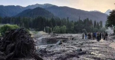 Al menos seis muertos y 31 desaparecidos por un deslizamiento de tierra en Georgia