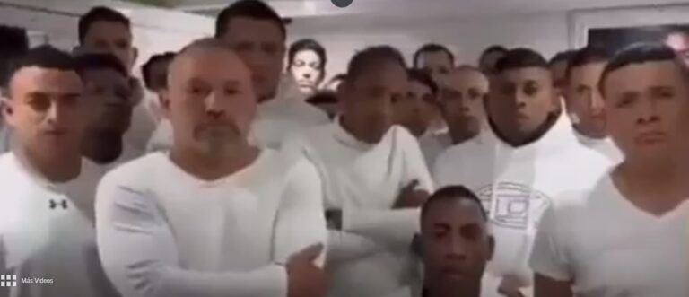 ECUADOR: Lobos desmienten en otro vídeo asesinato Villavicencio