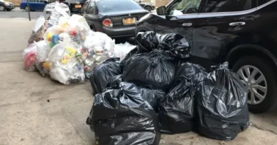 Prohibirán en NYC sacar basuras en fundas plásticas por las ratas