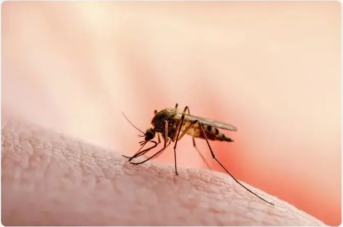 Notifican un caso de malaria en República Dominicana