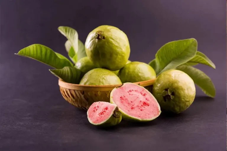 Beneficios del té de hojas de guayaba