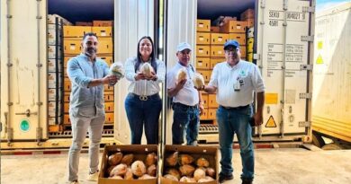Rep. Dominicana envía a EE.UU. primera carga de coco de agua