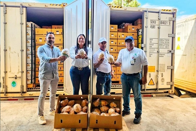 Rep. Dominicana envía a EE.UU. primera carga de coco de agua