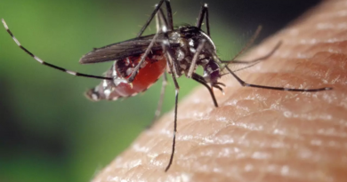 RD ha registrado 5,145 casos de dengue en lo que va de este año