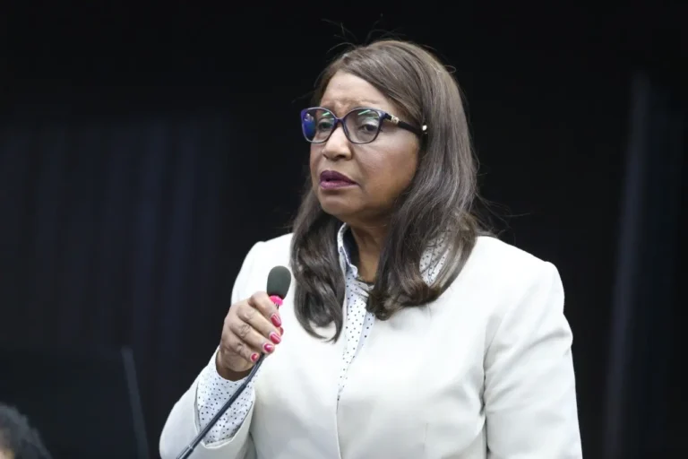 Tras asesinatos en Dajabón, diputada asegura que la frontera no está blindada como afirman autoridades