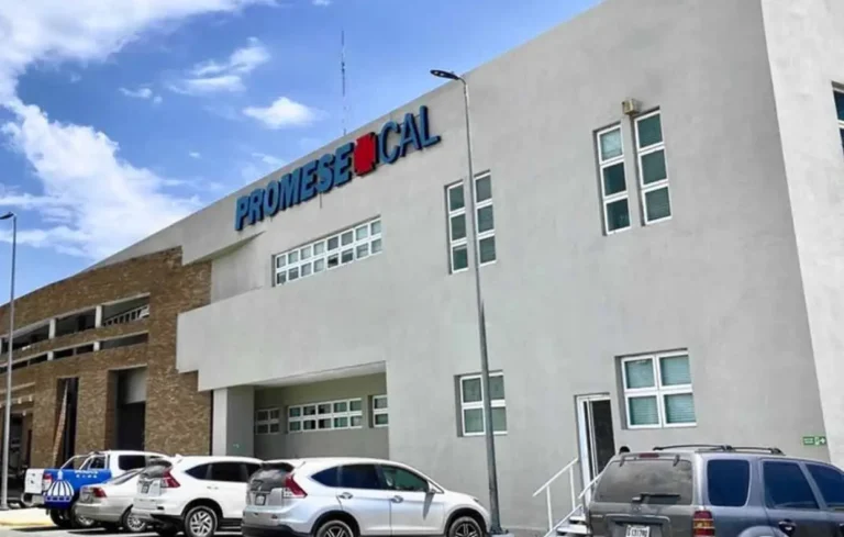 Sistema de inventario Promese era ineficiente