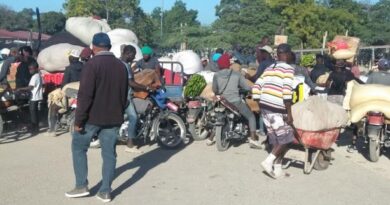 Resurge el comercio con Haití, pero sólo al granel