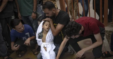 Bombardeos de Israel a Gaza dejan más 8 mil muertos