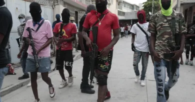 ONU resalta armas Haití proceden de RD y EEUU