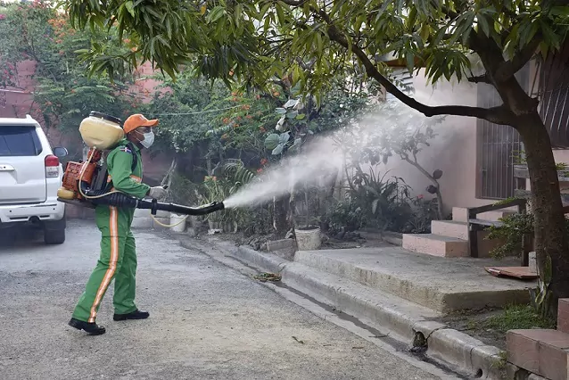Salud Pública elimina 1,660 criaderos del mosquito transmisor del dengue