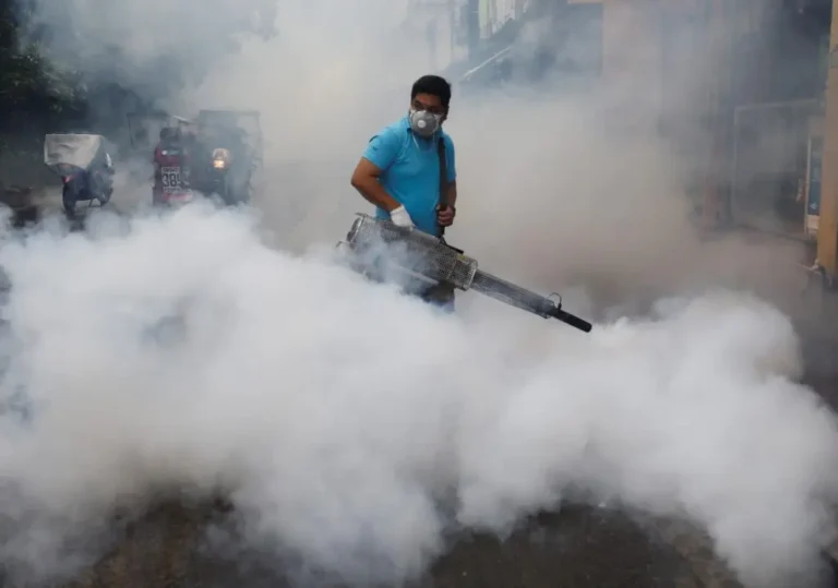 Todos contra el dengue: alternativas para prevenir el contagio