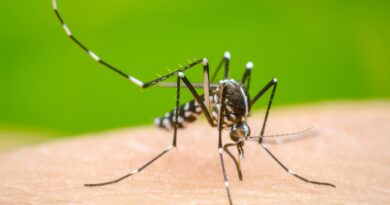 Dos niños fallecen con síntomas de dengue en Moca y Santiago