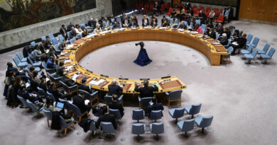 La ONU exhorta el fin de la guerra en Franja Gaza