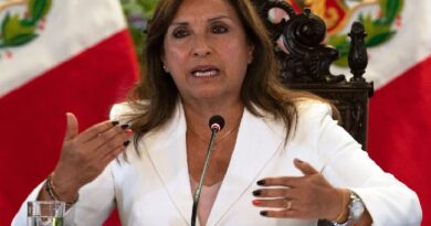 PERU: Boluarte dice su mandato recuperó ‘estabilidad democrática’