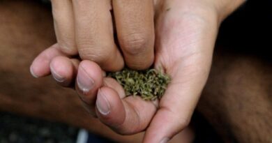 Nueva York dará casi 1,500 licencias para negocios de marihuana en las próximas semanas