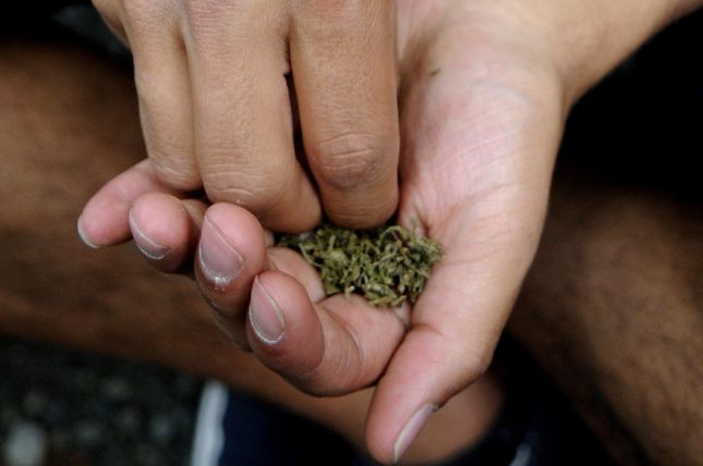 Nueva York dará casi 1,500 licencias para negocios de marihuana en las próximas semanas