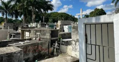 Cementerio Villa Mella se halla en estado crítico