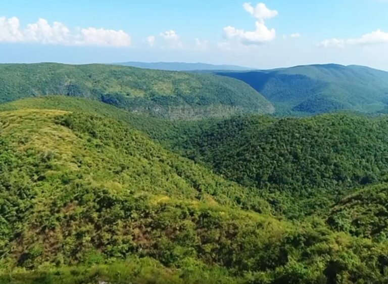 Estado defenderá Sierra de Baoruco de fraude