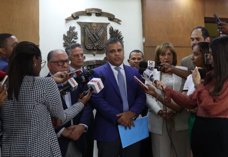 PLD lleva informe de errores a Junta de las pruebas de cómputo