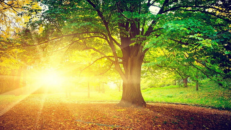 ¡Hoy es lunes! Se esperan temperaturas calurosas y cielo soleado
