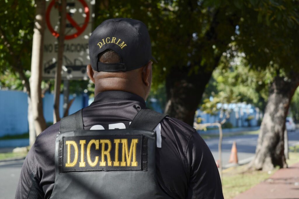 DICRIM apresa 12 personas, incluyendo una mujer, por la comisión de diferentes delitos