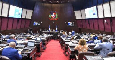 Diputados respaldan las acciones del Estado dominicano ante Haití
