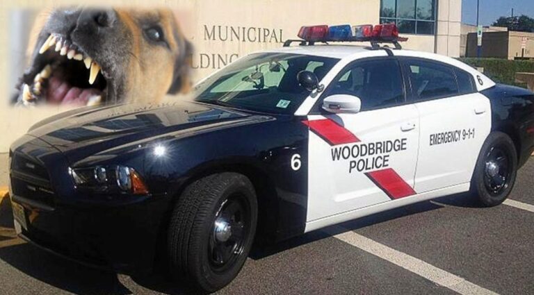 Perro Pitbull asesina infante de tres meses y deja padres graves en hospital de NJ