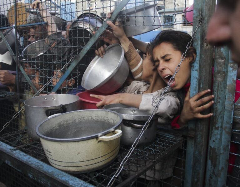 Alertan hambruna en el norte de Gaza