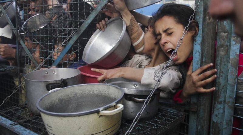 Alertan hambruna en el norte de Gaza