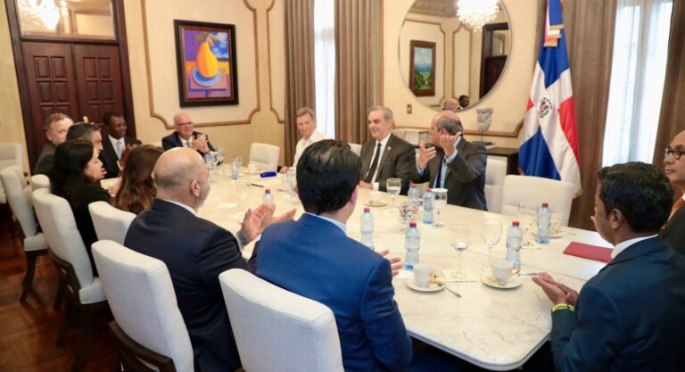 Presidente recibe miembros del Consejo de Seguridad de la ONU